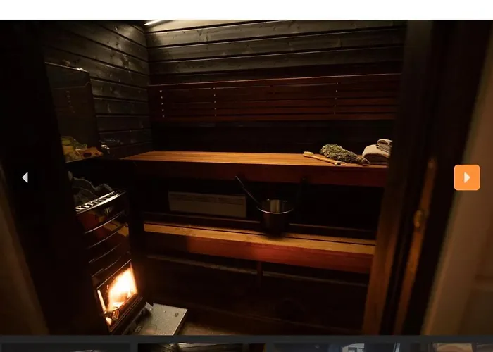 Saunallinen Vierasmaja 1 Km Foeriltae Aurajoelta Διαμέρισμα Τούρκου