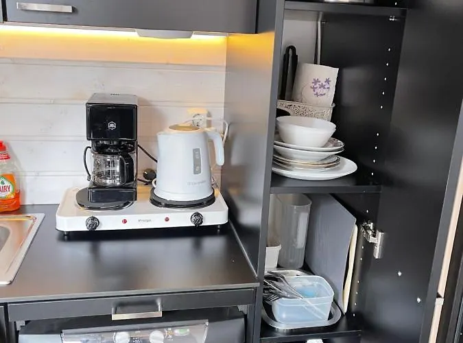 Saunallinen Vierasmaja 1 Km Foeriltae Aurajoelta Lägenhet Åbo